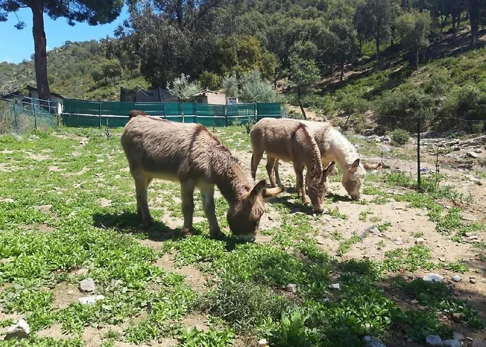 Jolie By Interhome *